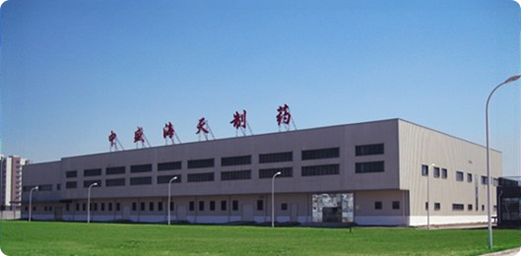 公司简介